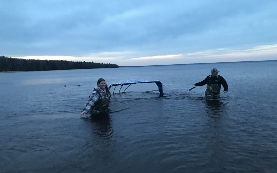Intern Update: Elliana Prow tests the waters