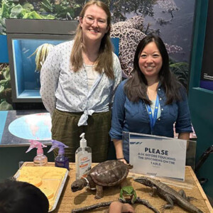 Brenna, a blonde white woman, and Teresa, a dark-haired Asian woman, stand in front of a table displaying replicas of reptiles and amphibians for a child to explore and touch.