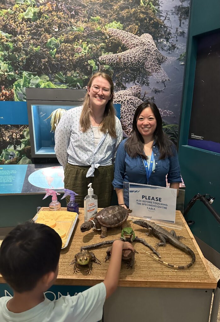 Brenna, a blonde white woman, and Teresa, a dark-haired Asian woman, stand in front of a table displaying replicas of reptiles and amphibians for a child to explore and touch.
