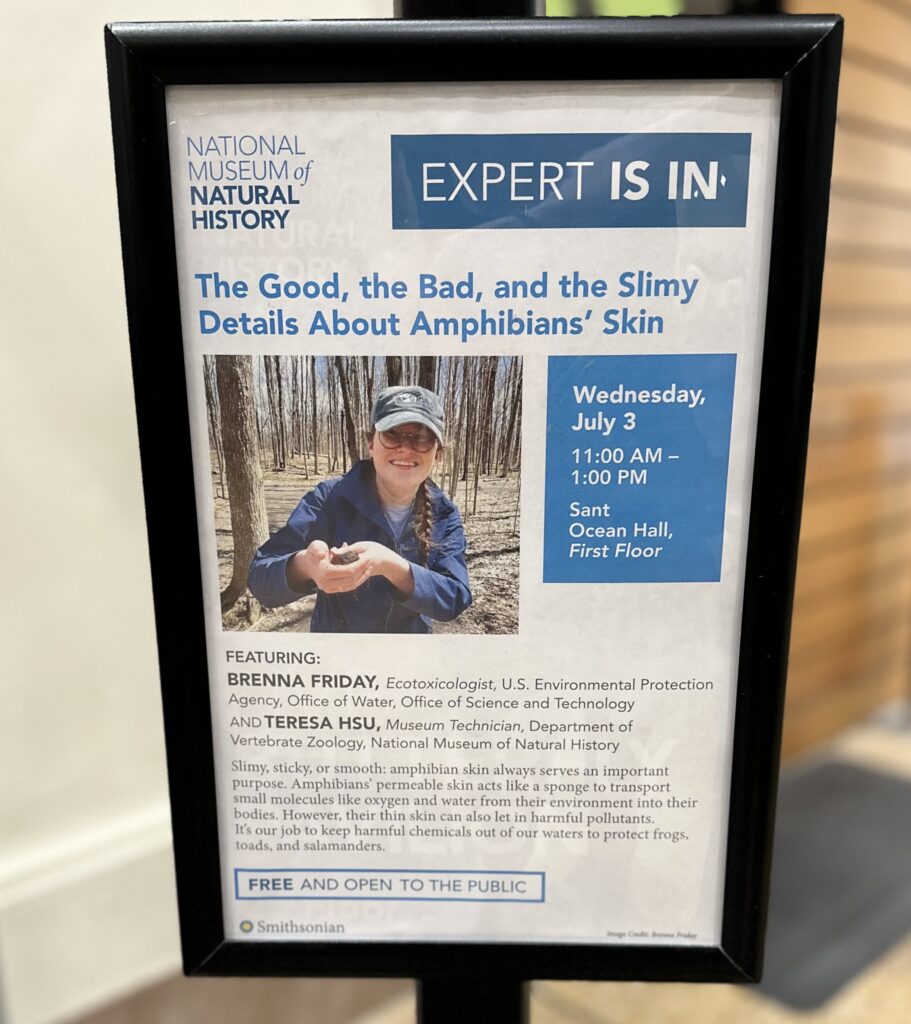 An image of the sign advertising Brenna's "Expert Is In" talk