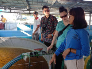 Three people look into an aquaculture tank with fish.