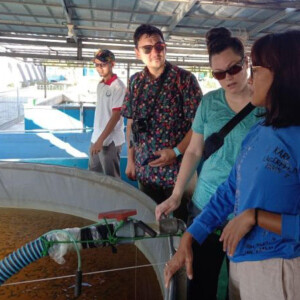 Three people look into an aquaculture tank with fish.
