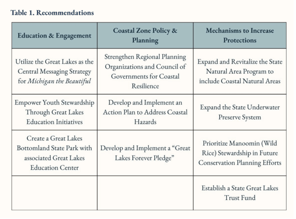A screenshot of a table of recommendations that can be found in the final report, linked above in the article.