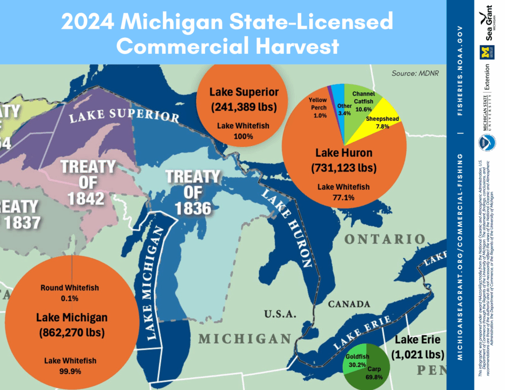 A map of the great lakes showing the 2024 Michigan state licensed commercial harvest of fish