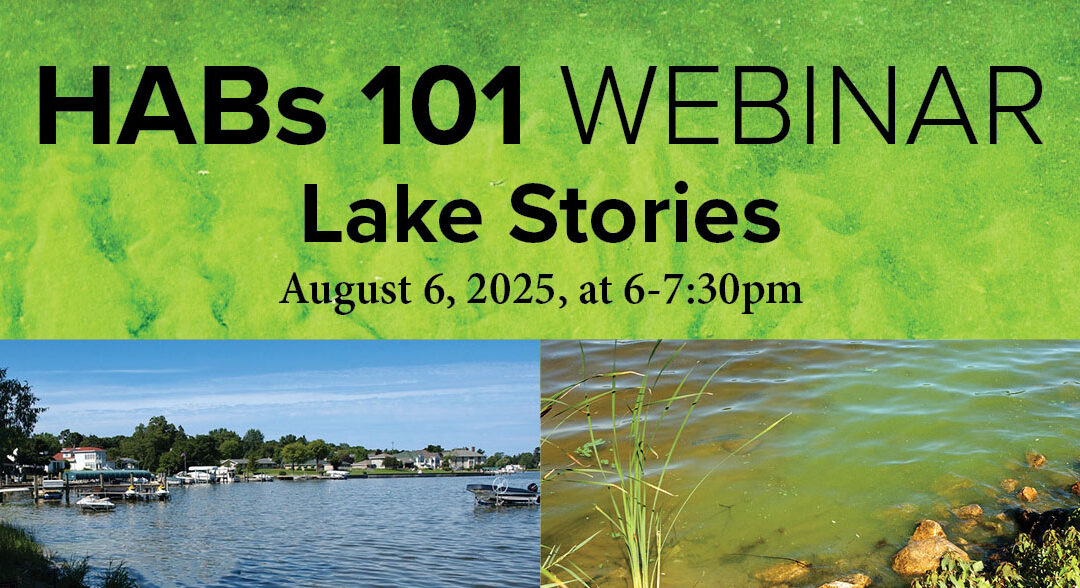 Join “HABS 101: Lake Stories” webinar to hear from property owners and lake managers 