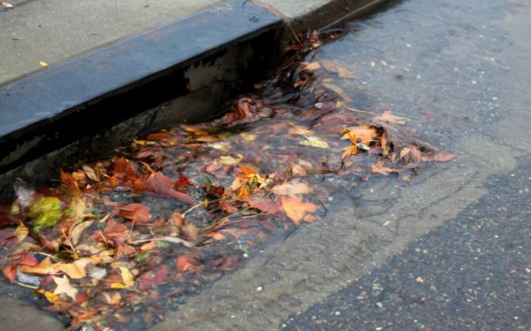 Leafs clogging a street drain with water collecting
