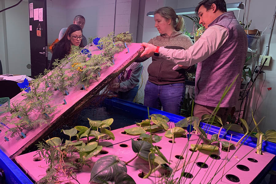 teachers looking at an aquaponics set up during a workshop