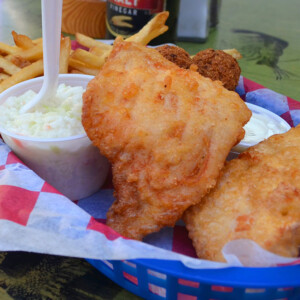 Fried fish on a plate with french fries and coleslaw.