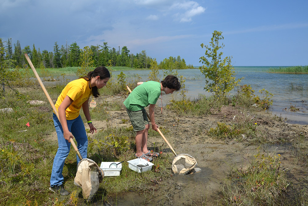 Two students collect samples in a fen along Lake Huron