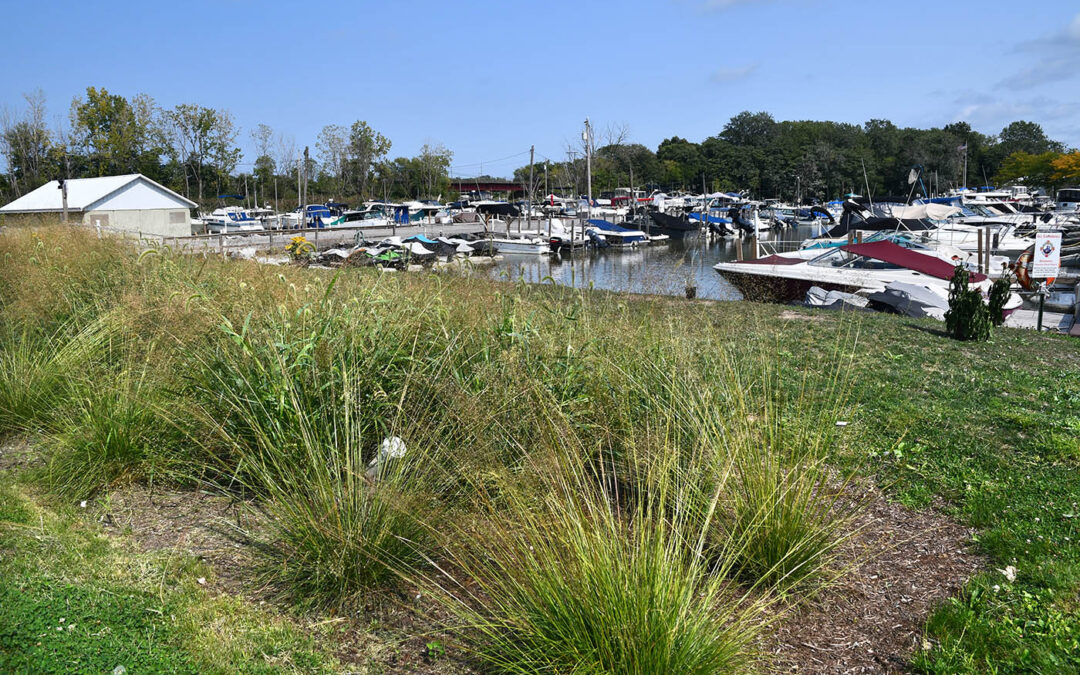 Supporting Efforts to Install Green Infrastructure at Great Lakes Marinas