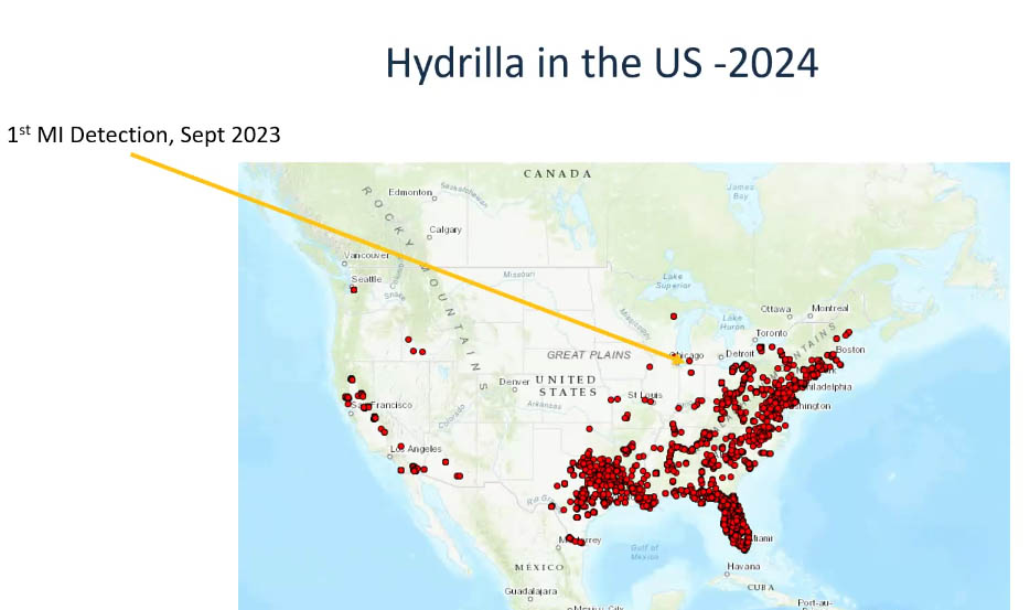 A map showing hydrilla locations in the US