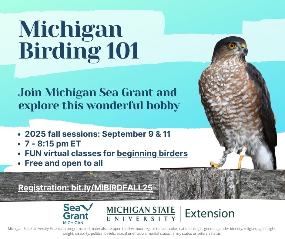 An ad for Michigan Birding 101 event with a hawl on the right side