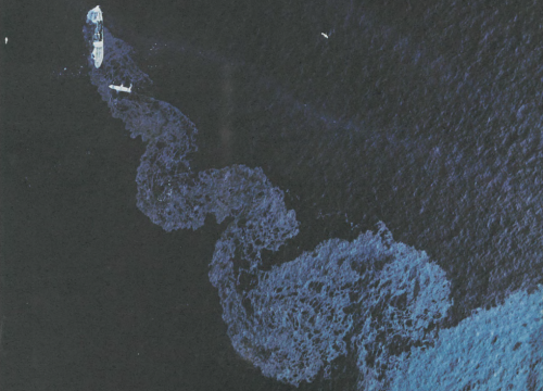 NOAA drift card makes incredible journey across Atlantic Ocean and 48 years of oil spill science