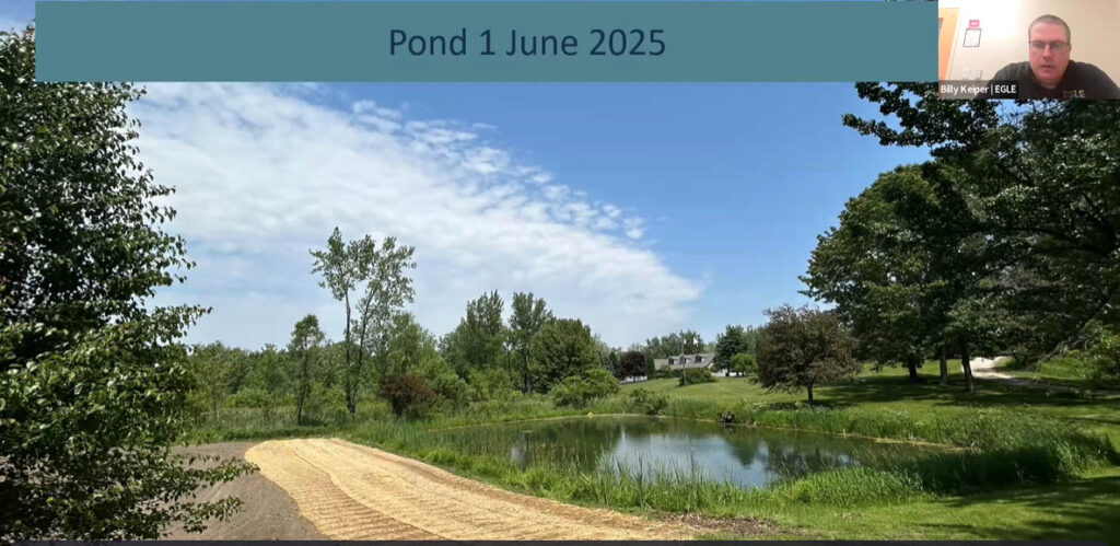 Pond in June with summer weather and leaves on the trees