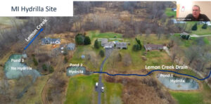 Site layout
