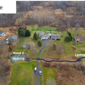 Site layout