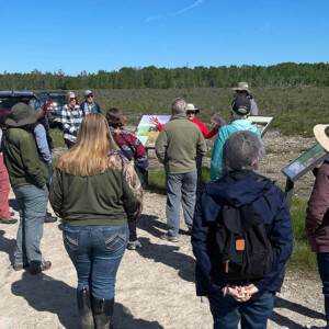 birding festival attendees listen to a speaker near a marsh on a sunny day.