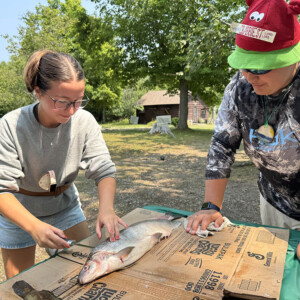 2 campers learning how to fillet a fish.