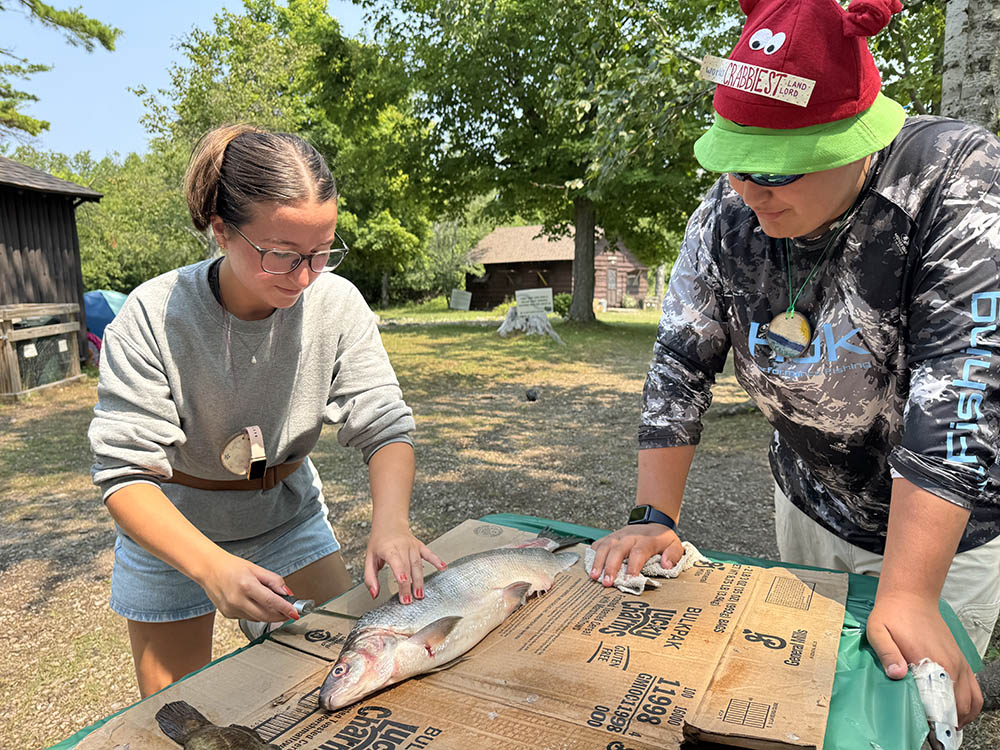 2 campers learning how to fillet a fish.
