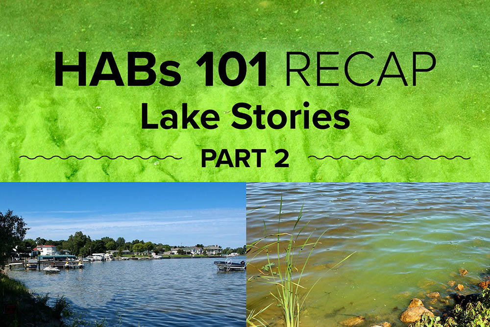 “HABs 101: Lake Stories,” Part 2: Let’s talk to the neighbors