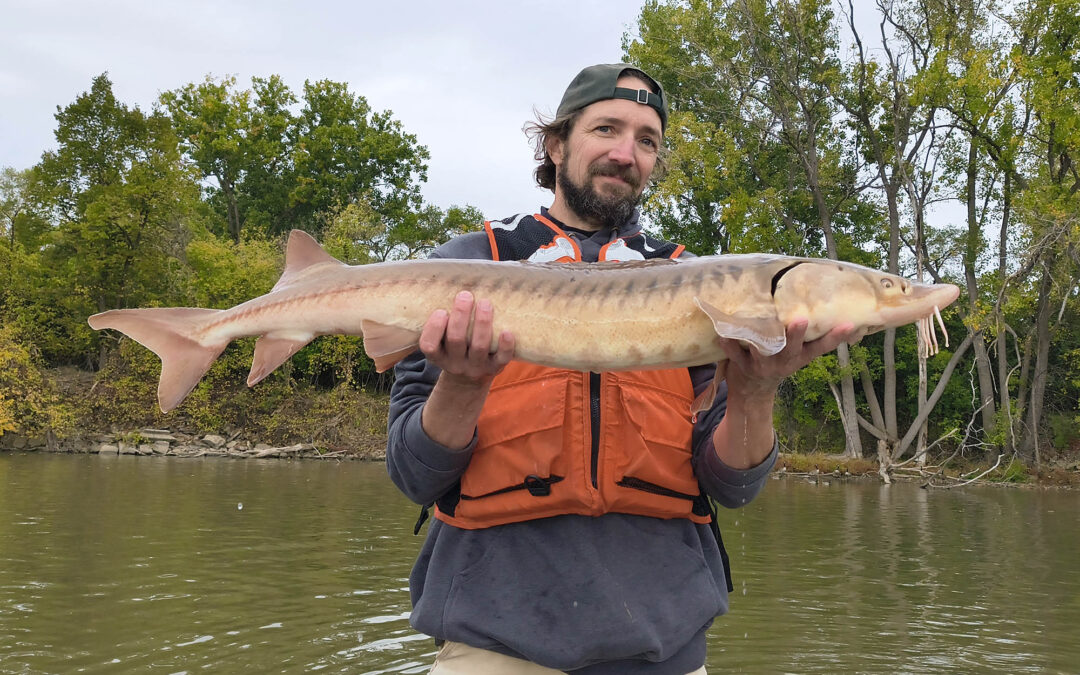 New sturgeon film gets thumbs up from Michigan Sea Grant