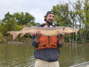 A scientist holds a medium size Lake Sturgeon while standing on a boat in the river.