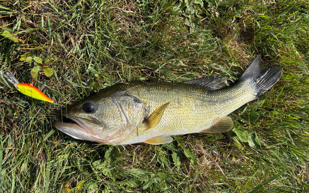 Getting Hooked on Fishing in Saginaw Bay