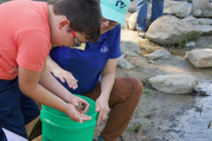 Two people help release a young lake sturgeon into a river