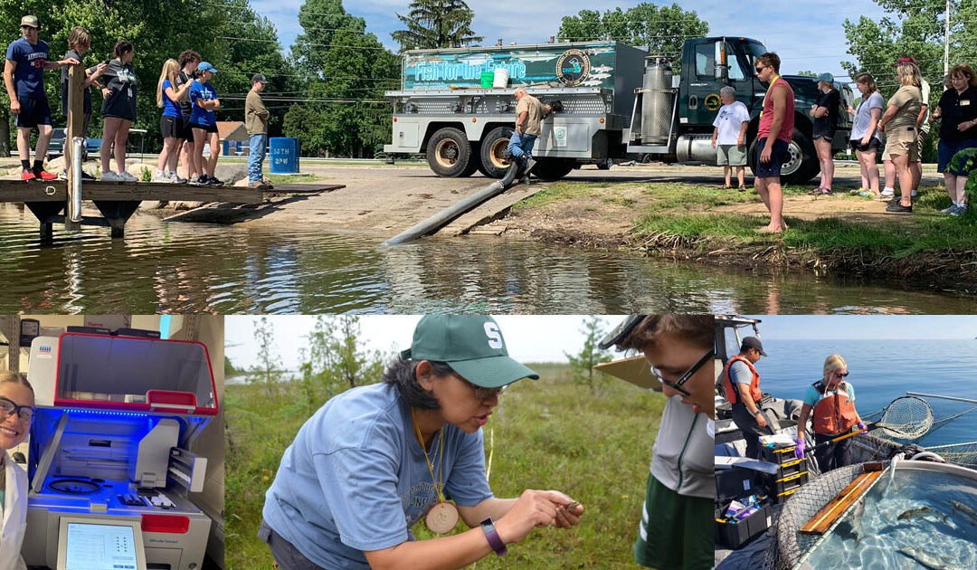 Host a Michigan Sea Grant undergrad intern in 2026!