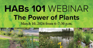 A graphic for the webinar "the power of plants"