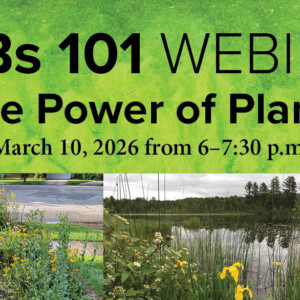 A graphic for the webinar 
