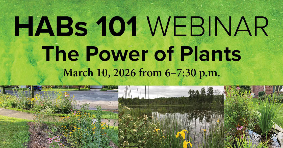 A graphic for the webinar "the power of plants"