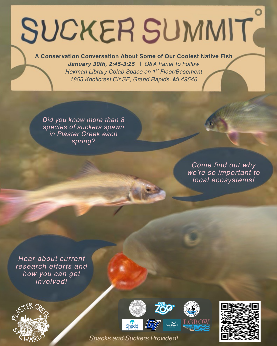 sucker summit flyer