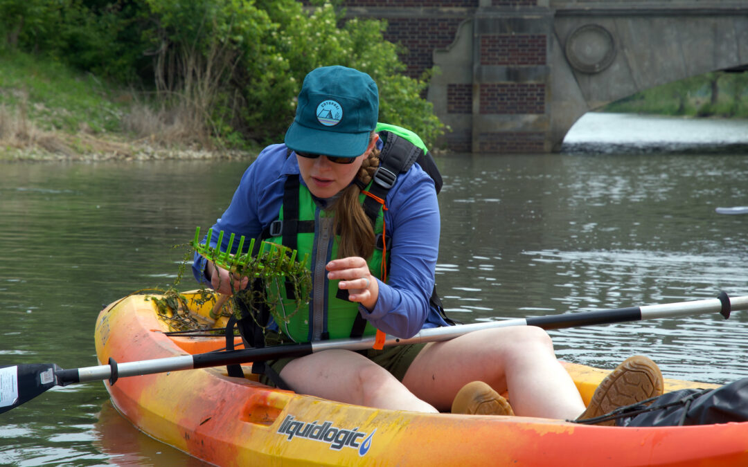 Paddle Stewards participants can earn pesticide applicator credits