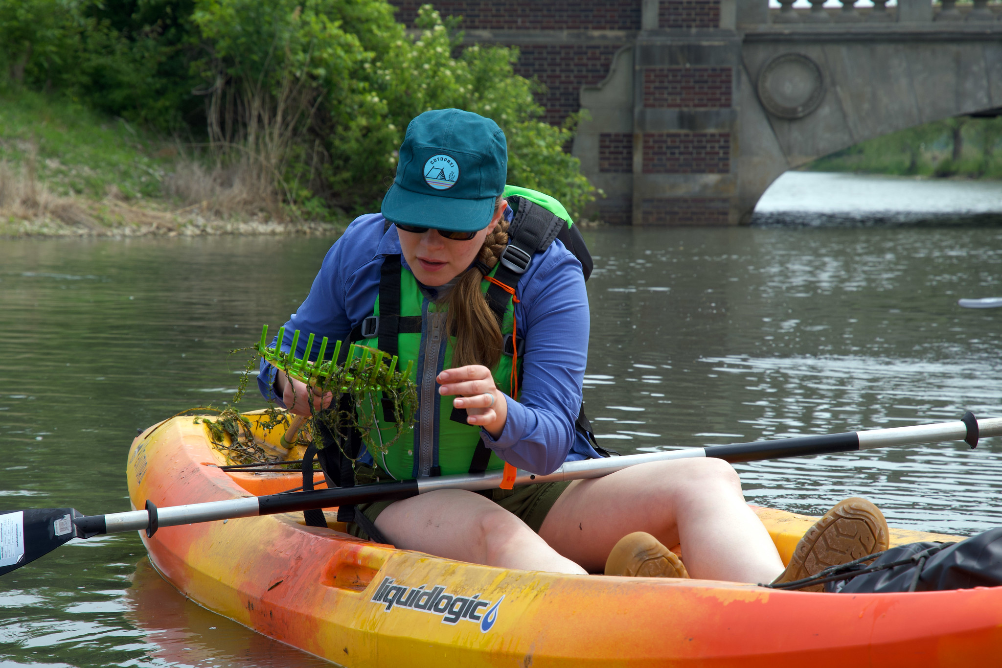A kayaker inspects weeds pulled up on a rake