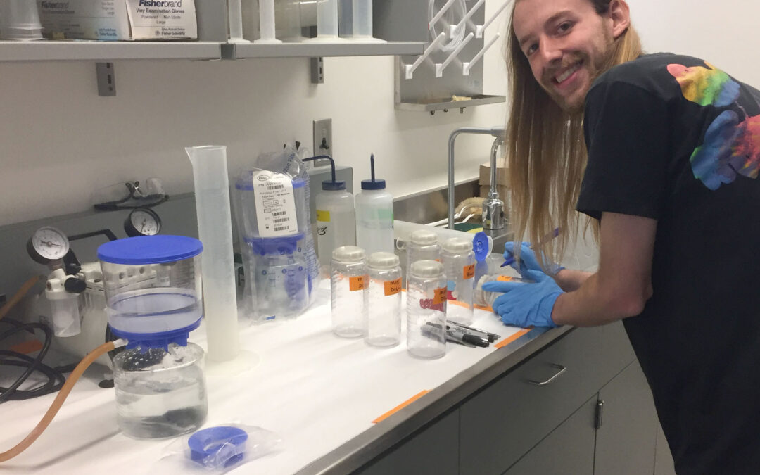 Invisible Shift: How Lake Huron’s Microscopic World is Rewriting its Future