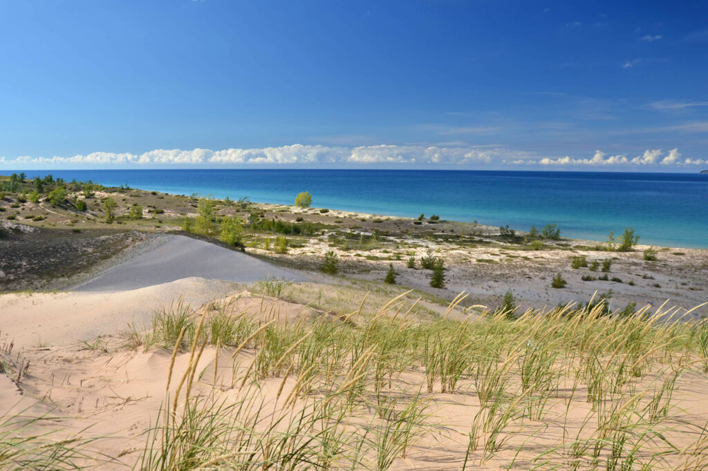 Lake Michigan dunes on a sunny day with dune grass in the foreground