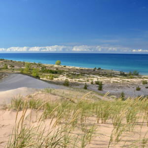 Lake Michigan dunes on a sunny day with dune grass in the foreground