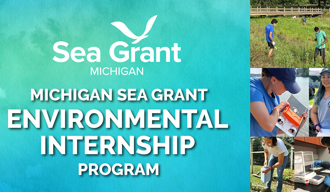 2026 summer interns tackle food webs, rain gardens, plastic waste, and more