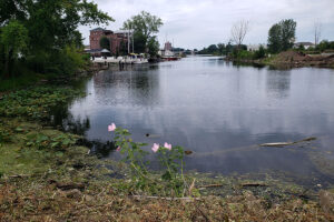 A canal along the back of a downtown area on a cloudy day.