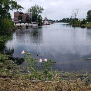 A canal along the back of a downtown area on a cloudy day.