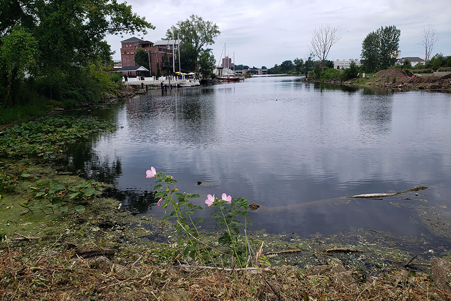 A canal along the back of a downtown area on a cloudy day.