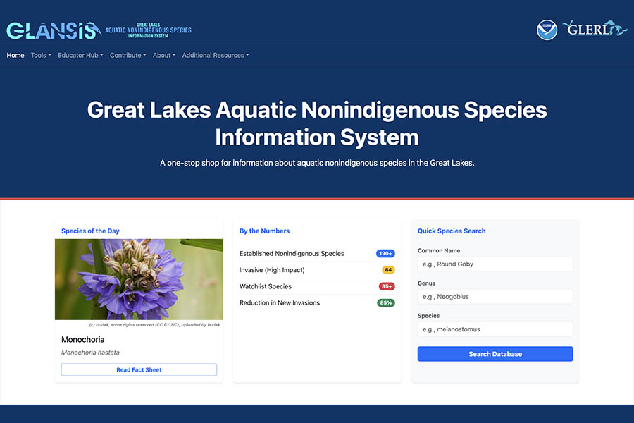 A screenshot of the new GLANSIS website layout