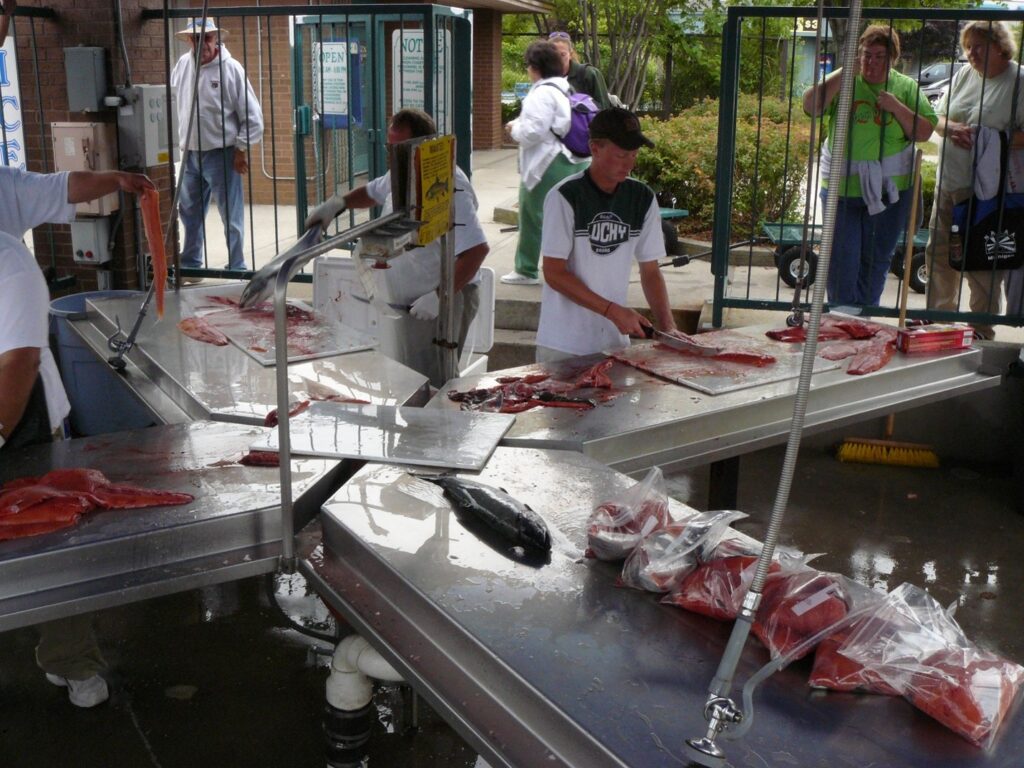 A busy fish cleaning station