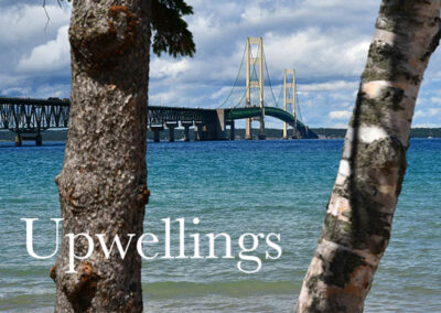 A bridge seen between two out of focus trees in the forground with a brilliant blue-green lake