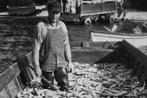 John-Anderson-1942-unloading-herring-near-Beattie-Creek-Menominee-County-West-Shore-Fishing-Museum