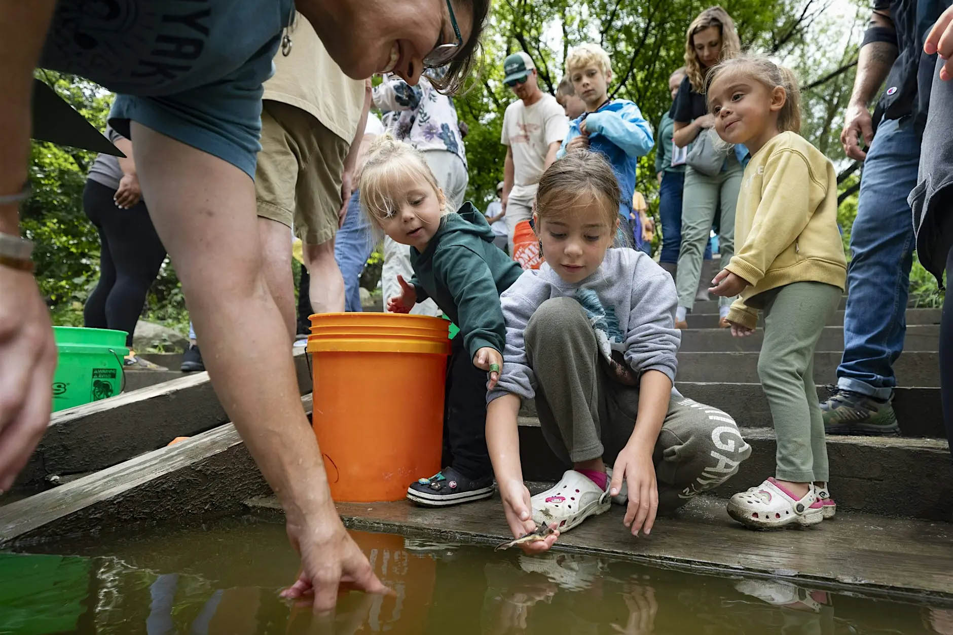 several adults and kids stand in line to release a baby sturgeon into the water