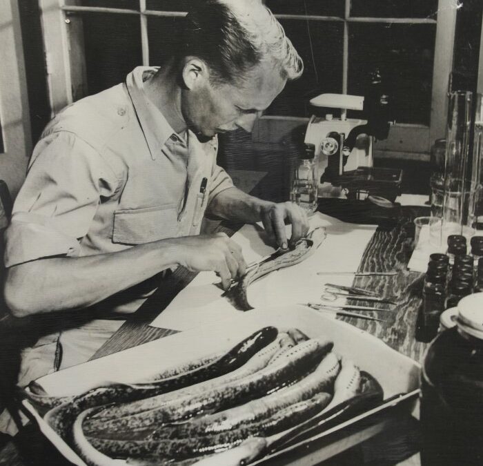 A story worth remembering: Sea lamprey management is science in action